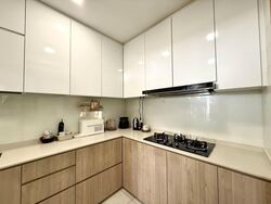 Edelweiss Park Condominium (D17), Condominium #582858001